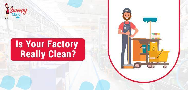 Is Your Factory Really Clean Sweepy maids
