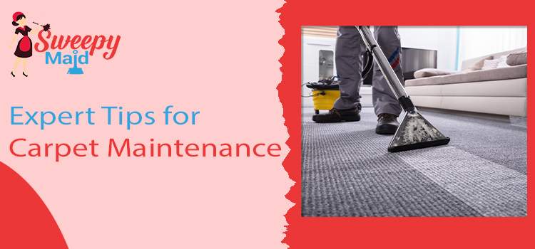 Expert Tips for Carpet Maintenance