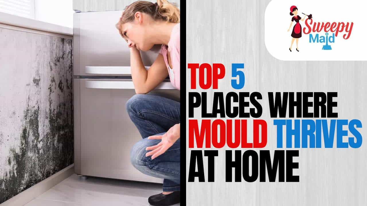 5 Easy Eco-Friendly Cleaning Ideas