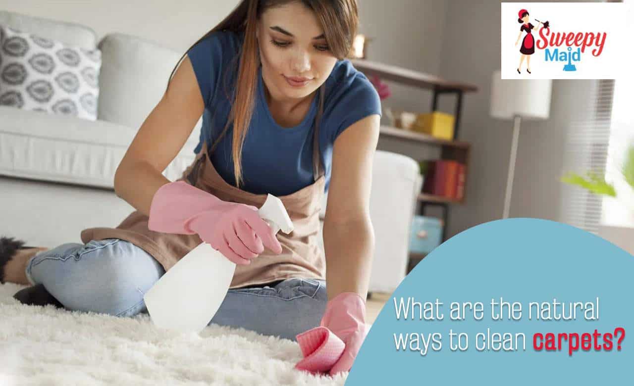 Pet friendly carpet cleaning methods for a healthier home.