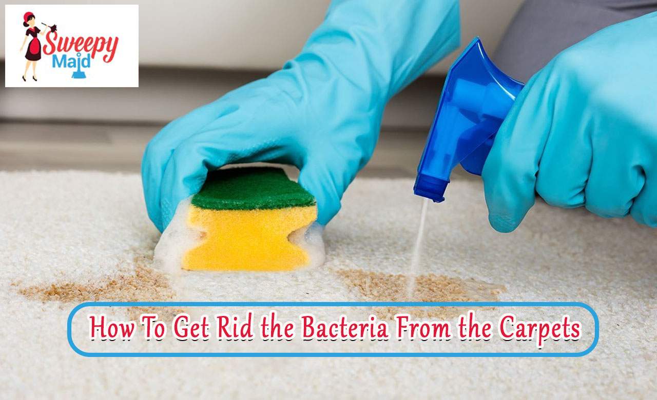 How To Get Rid the Bacteria From the Carpets