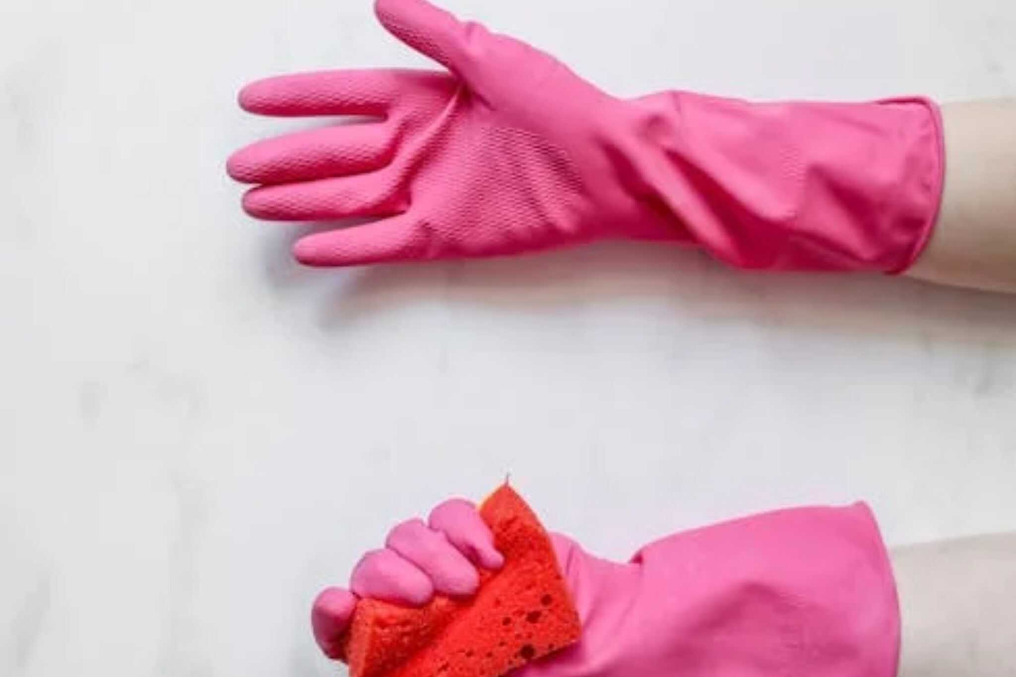 Why It Makes Sense to Hire Eco-Friendly House Cleaning Professionals in Brampton