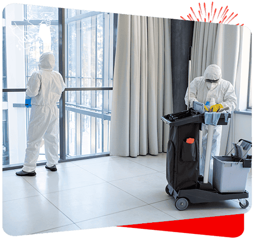 Disinfecting windows and surfaces with professional cleaning services at Sweepy Maids.